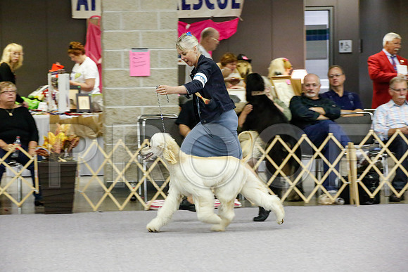 _JJ_9400-AfgBeltonOct2014-HR3