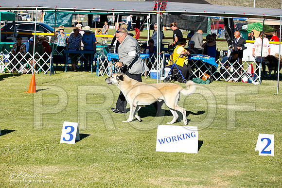 _JN_9848-AlamogordoOct2014-HR3