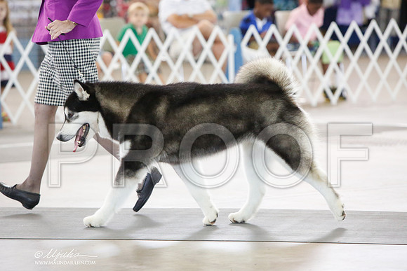 _JJ_0635-DallasJul2014-HR3