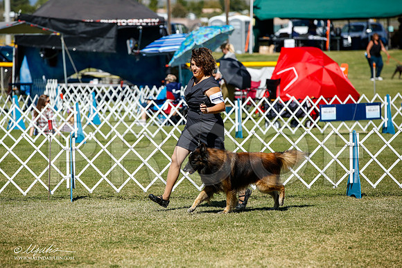 _JJ_1252-AlamogordoOct2014-HR3