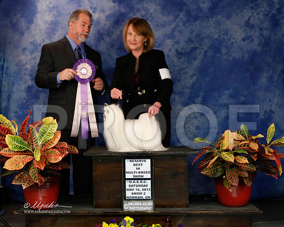 _J2_8988-NormNov2013-HR