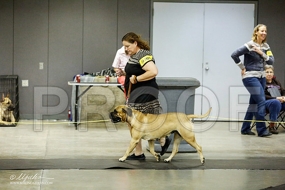 _RH_1917-BeltonJan2015IABCA-HR3