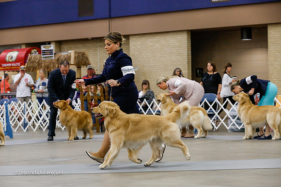 Open Dog Friday Ring_CL_2484-HR3