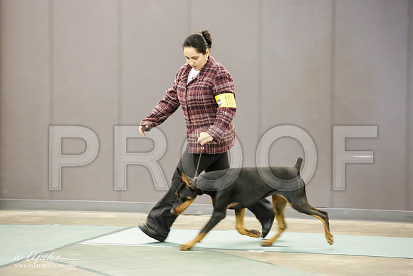 _JN_1868-BeltonJan2015-HR3