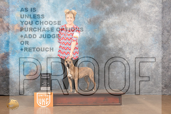 American Pit Bull Terrier #263 Sun1 G4 Judge Matthew ProctorMMJ_6064_Lngvw2022HR3