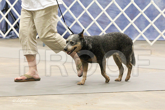 ACD-5894LR