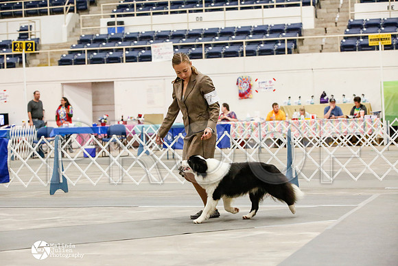 _JJ_8976-AblnMay2014-web
