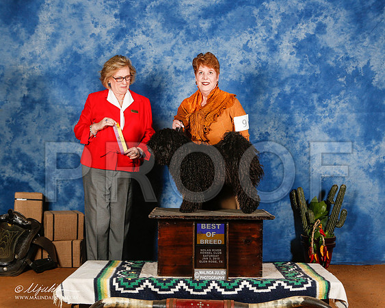 _ST_1027-2-GlenRoseJan2015-HR3