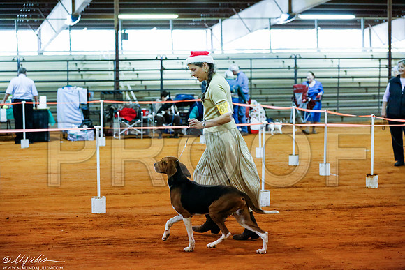 _RH_2799 Marsh Dec 2014