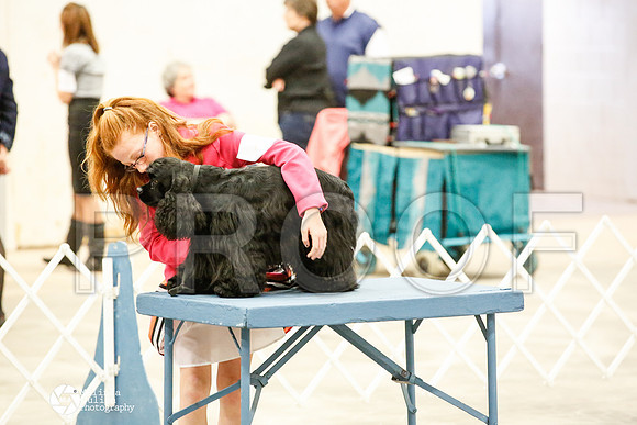 _JN_1154-AblnMay2014-web