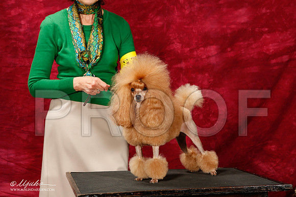 _ST_2811-2-BeltonJan2015IABCA-HR3