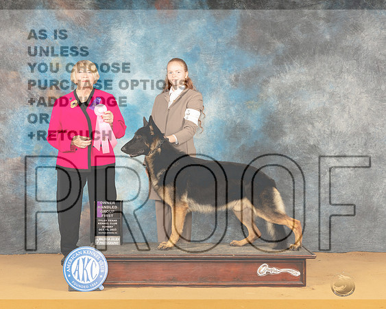 German Shepherd Doe #5 Sun OHG1 Judge Carol Moser-_JP_8677e_SulphurSprng2023-HR3