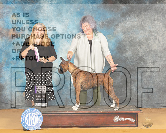 Boxer #12 Sat RWB Judge Bridget Brown-_JP_8394e_SulphurSprng2023-HR3