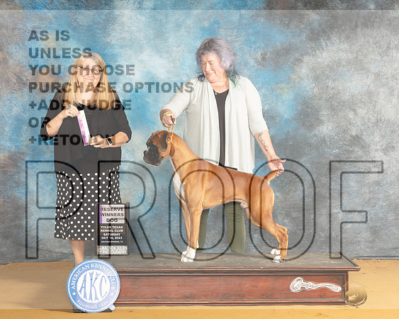 Boxer #7 Sat RWD Judge Bridget Brown-_JP_8326e_SulphurSprng2023-HR3