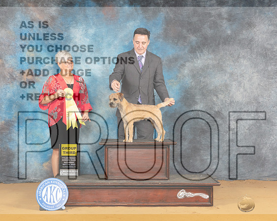 Border Terrier #8 Sat G3 Judge Lee Anne Bateman-_JP_8276_SulphurSprings2023-HR3