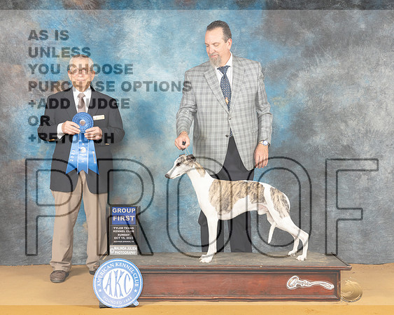 Whippet #19 Sun G1 Judge Richard Lewis-_JP_8888e_SulphurSprng2023-HR3