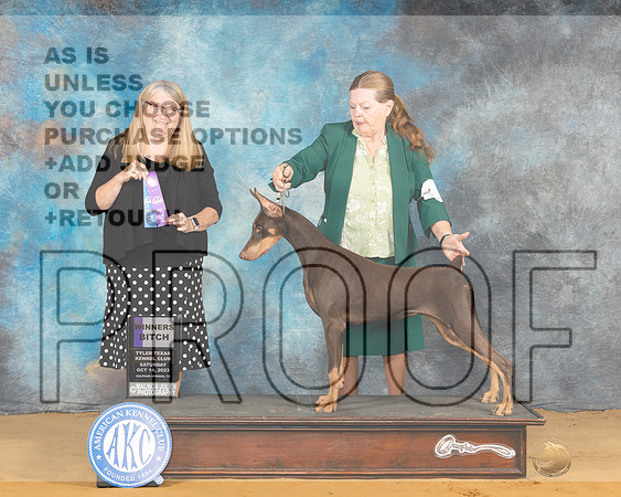 Doberman Pinscher #8 Sat WB Judge Bridget Brown-_JP_7875e_SulphurSprings2023-HR3