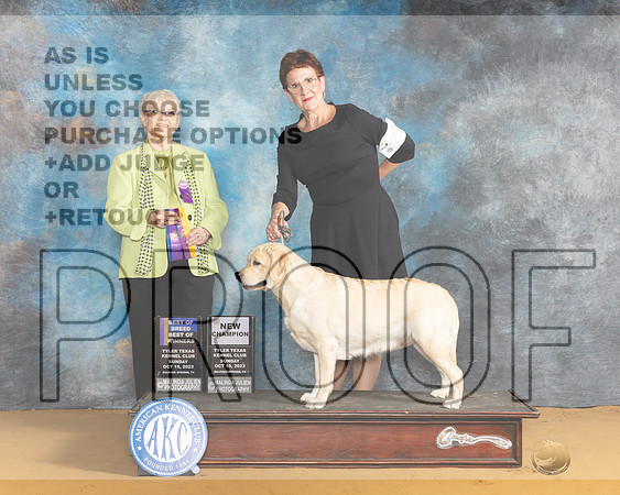 Labrador Retriever #22 Sun CHBOBBOW Judge Suzanne Dillin-_JP_8514e_SulphurSprings2023-HR3