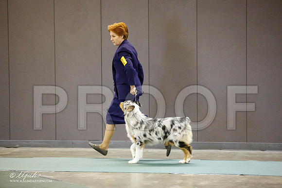 _JN_2798-BeltonJan2015-HR3