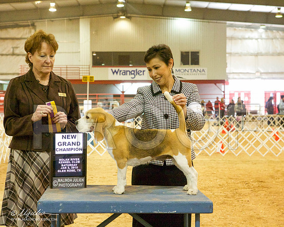 _MJ_5254-GlenRoseJan2015-HR3