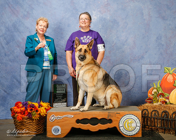 _CL_4624-2-SanAngelo2014-HR3