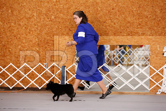 _RH_9141-CarlrolltonSept2014-HR3