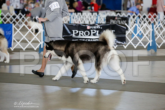 _JJ_4277-DallasJul2014-HR3