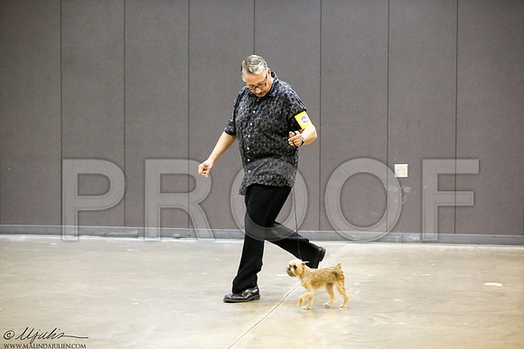 _J3L9938-BeltSep2014-HR
