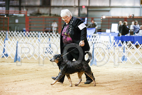_JN_4490-2-GlenRoseJan2015-HR3
