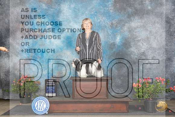Havanese #6 Sat BOSGCH Judge Christine Martinez__JP_5893_San Antonio_2024_HR3