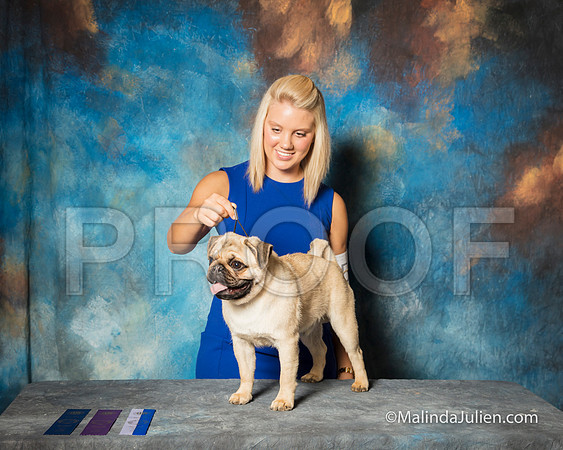 Pug #5 Sat Janet Smith-SSR_1086-HR3