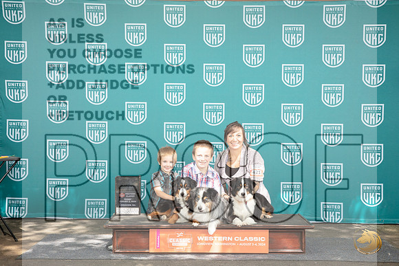 Miniature American Shepherd Family Photo Fri __JP_1102_Longview WA_2024_HR3
