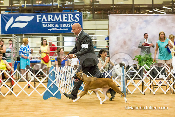 Best in Show Sat-MJJL5326-HR3