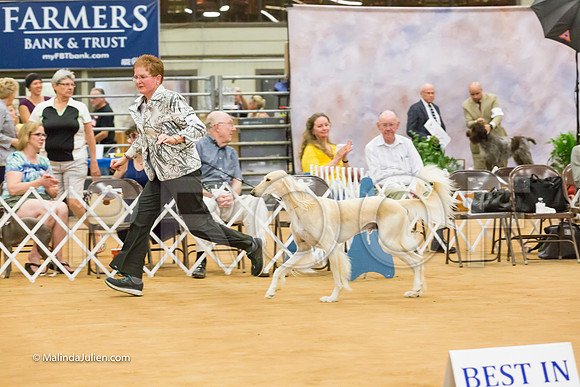Best In Show Sun-MJJL7739-HR3