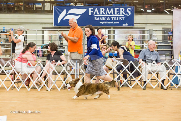 Best In Show Sun-MJJL7755-HR3