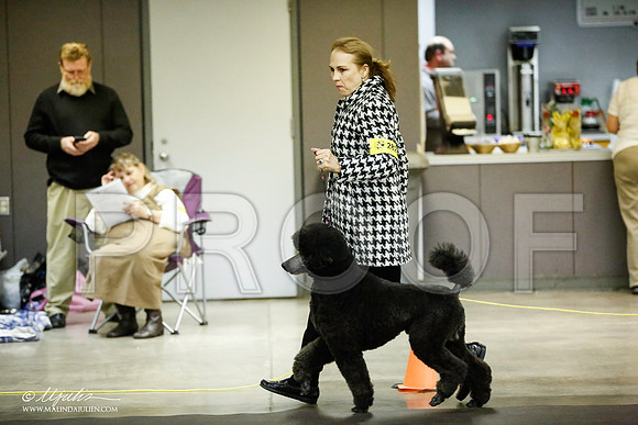 _JJ_5645-BeltonJan2015IABCA-HR3