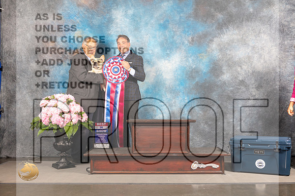 French Bulldog #7 Thur BIS Judge John Wade_MJ_4717_Houston_2022_HR3