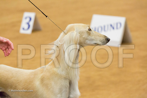 Hound Group Sun 1-MJJL6604-HR3
