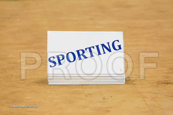 Sporting Group Sun-MJJL7467-HR3