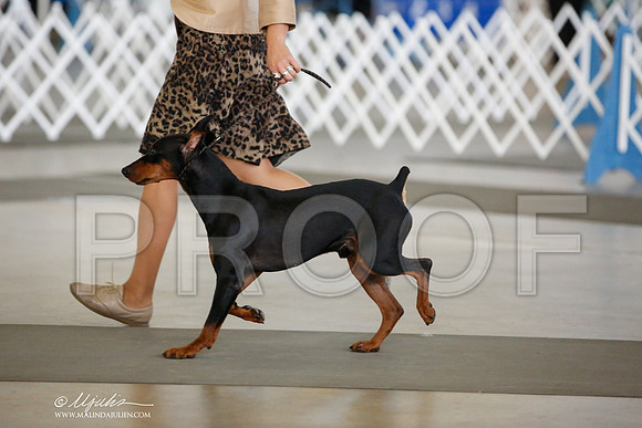 _JJ_3981-DallasJul2014-HR3