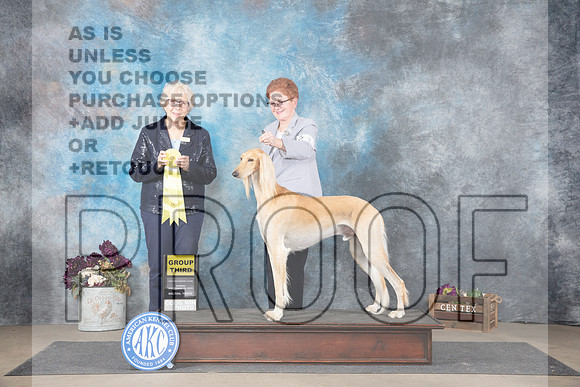 Saluki #11 Sun G3 Judge Sulie Greendale-Paveza__JP_7939_Belton_2024_HR3
