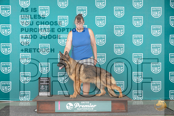 German Shepherd Dog #1047 Fri RCOC Judge Stan Matsumoto__JP_2801_Premier_2024_HR3