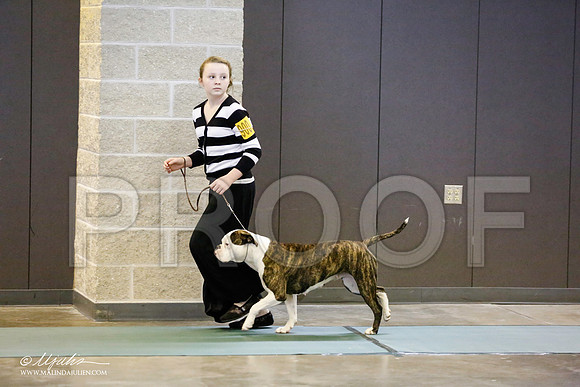 _RH_8735-BeltonJan2015-HR3