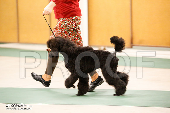 _JN_1015-NrmnNov2014-HR3