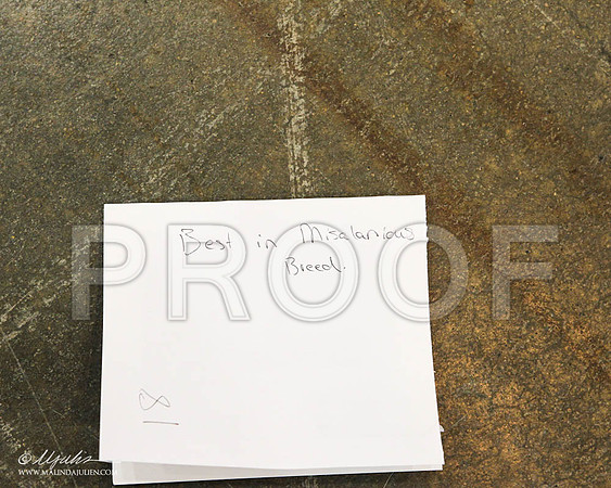 WPBob-4794 PROOF
