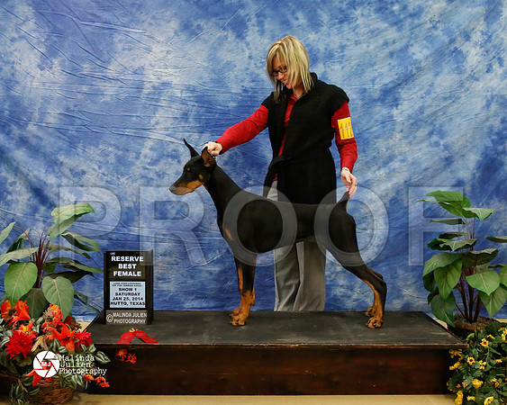dobe-6251-HtoJan14-HR