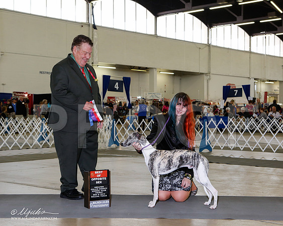 RH78632DallasDec2014HR3
