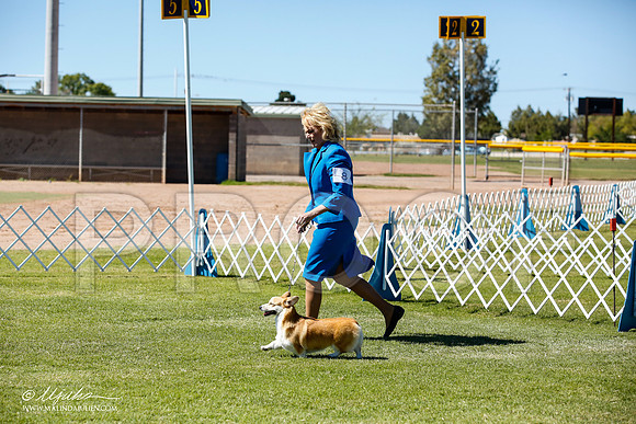 _JN_9173-AlamogordoOct2014-HR3