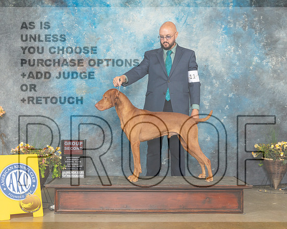 Vizsla #11 Sun G2 Judge Jim Fehring-MMJ_1775-NWARK2022-HR3