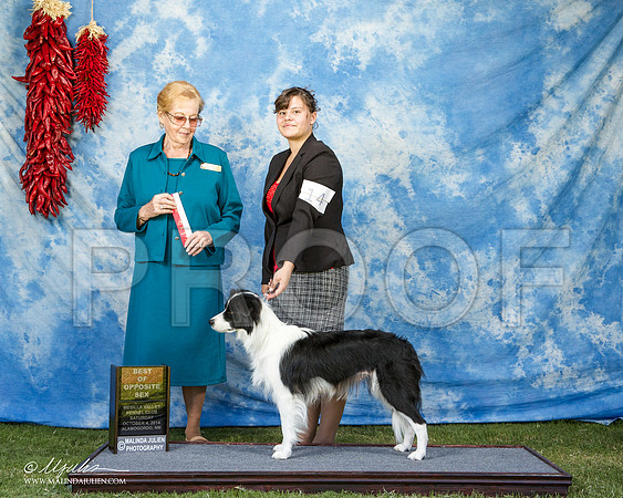 _ST_2865-AlamogordoOct2014-HR3